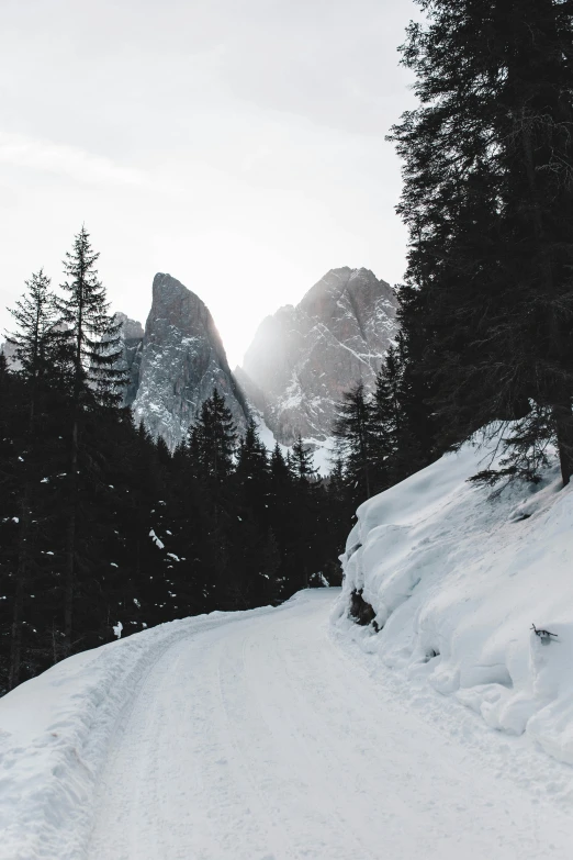 a snow covered mountain has evergreen trees near by