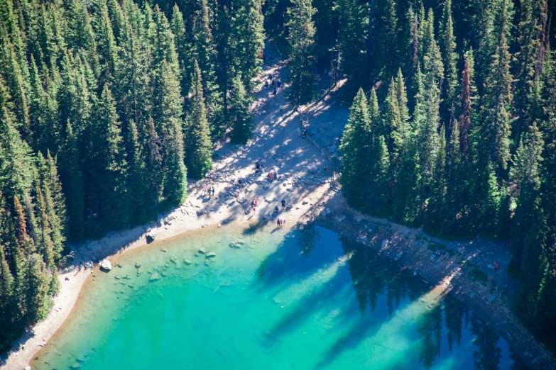 an aerial s of the blue lake in a forest