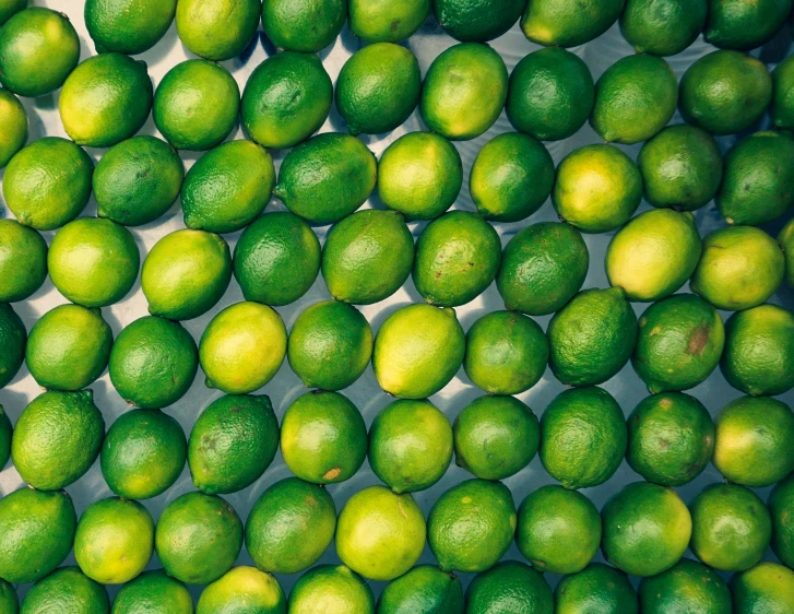 limes are arranged on a wall to be used as wallpaper