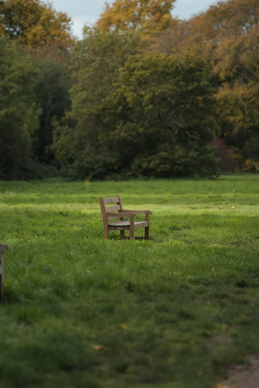 an empty wooden bench is sitting alone in the grass