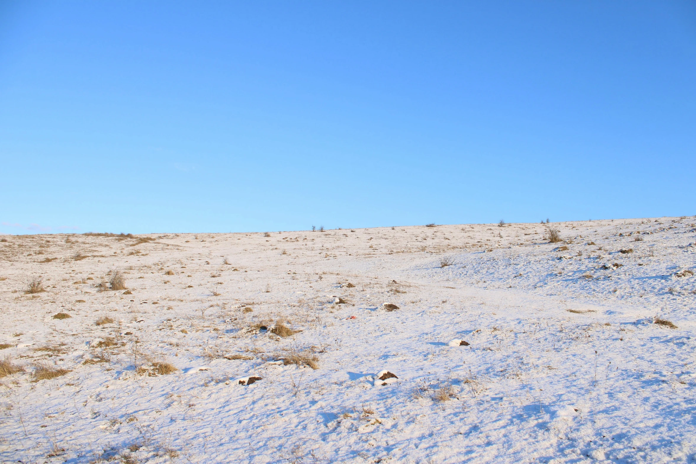 a blue and red object sitting in the middle of a snow covered field