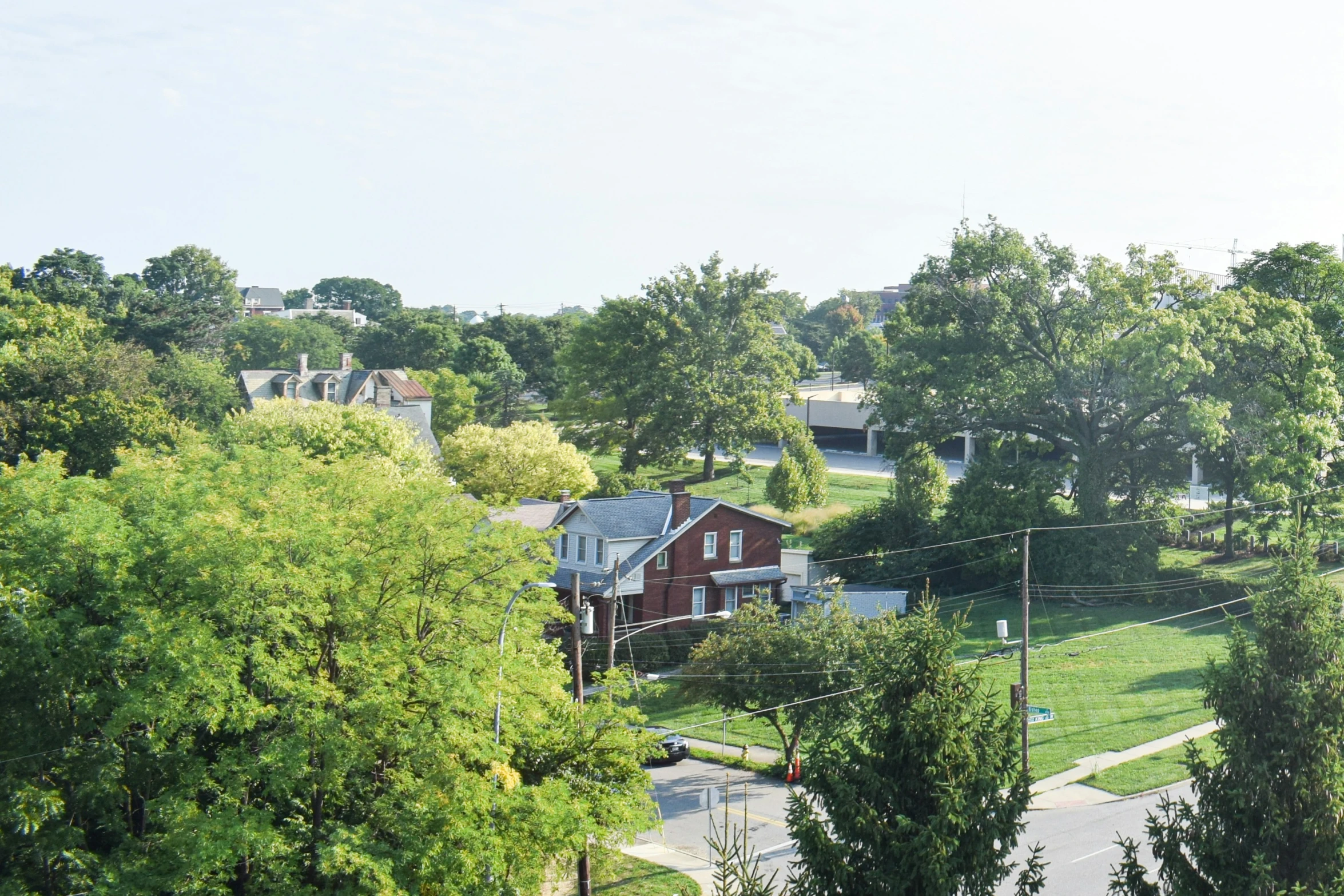 a lot of green trees and houses with a street sign