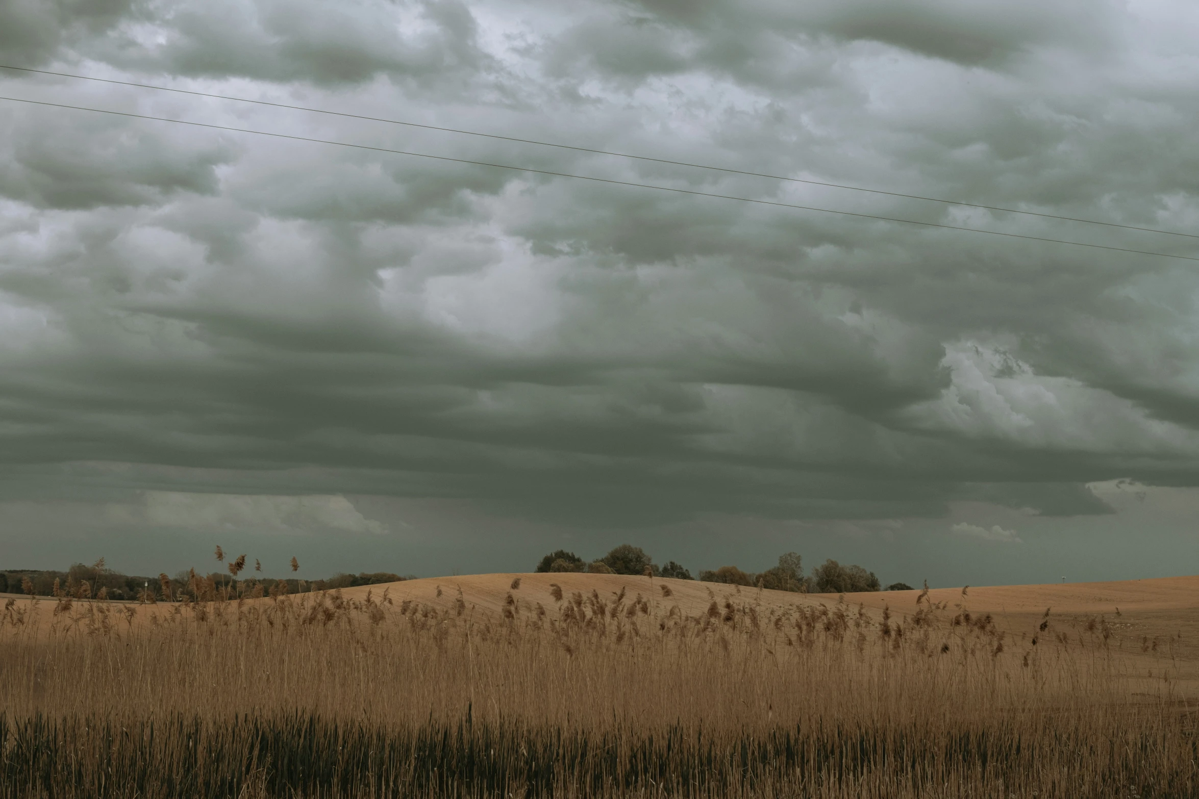 the wind mill is blowing up behind the grass