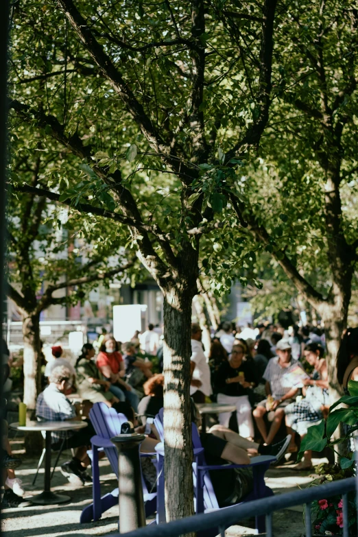 a group of people sit under trees in the sun