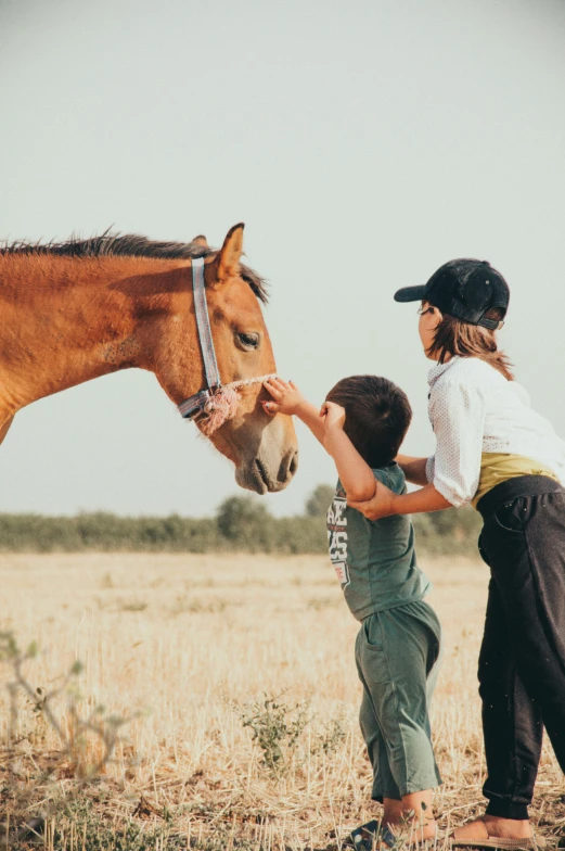 a child feeding a horse with his hand