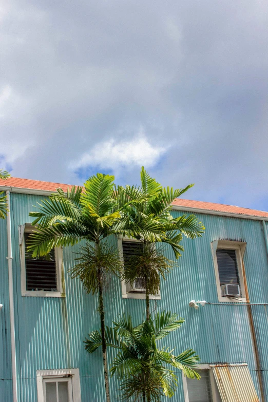 a blue house on a street corner near a palm tree