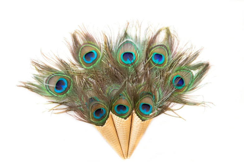 an arrangement of blue and green feathers on a pole