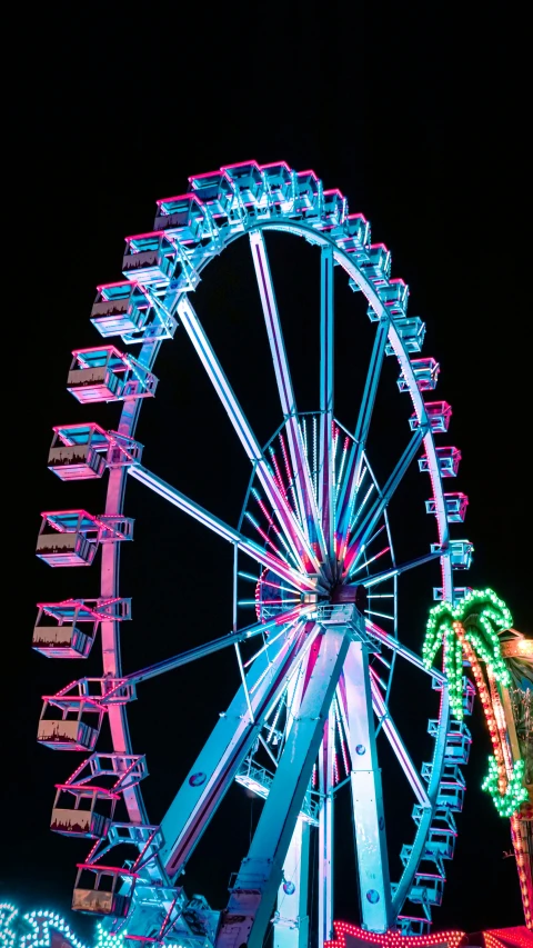 an amut ride in the dark at night