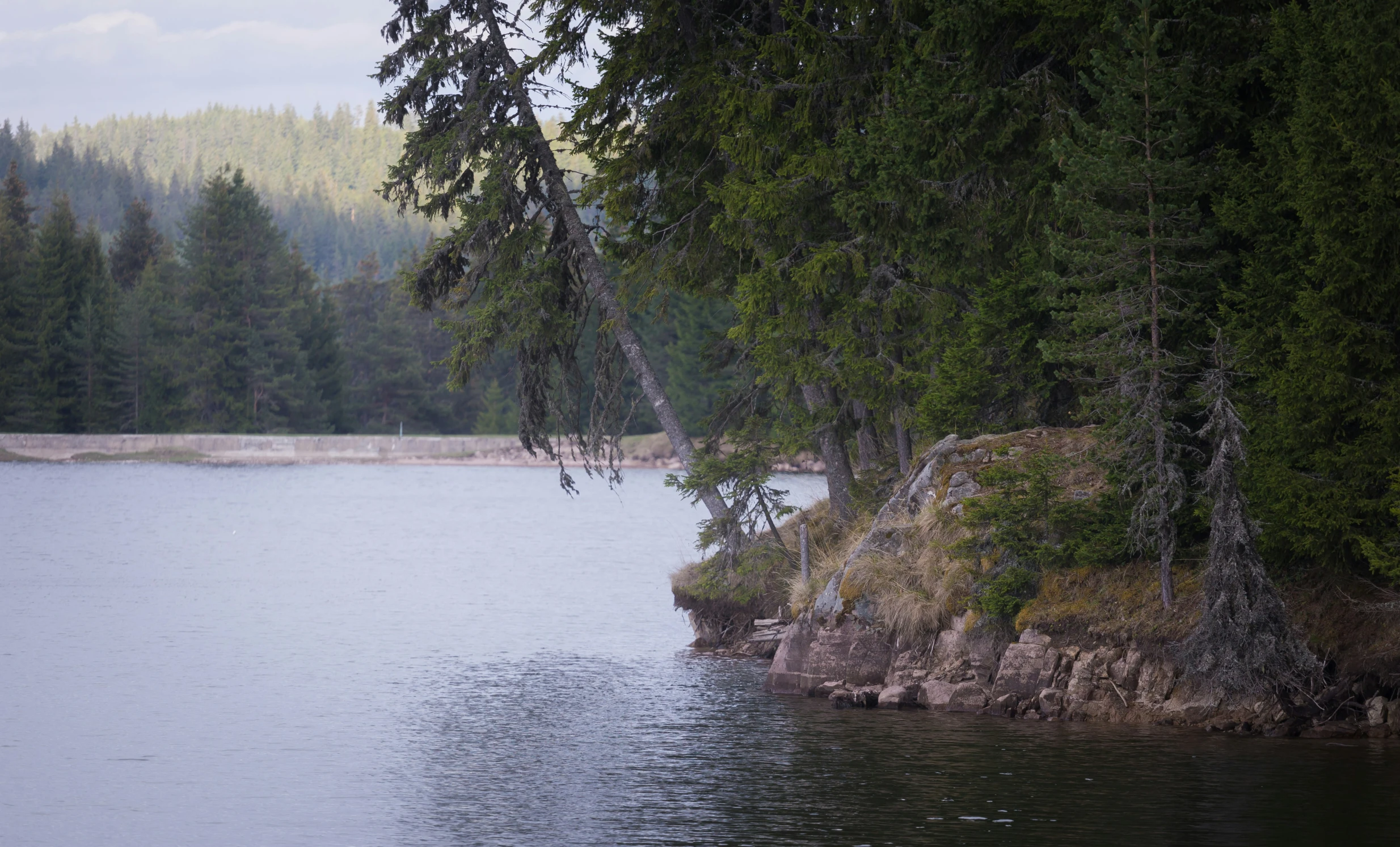 there is an island in the middle of a lake