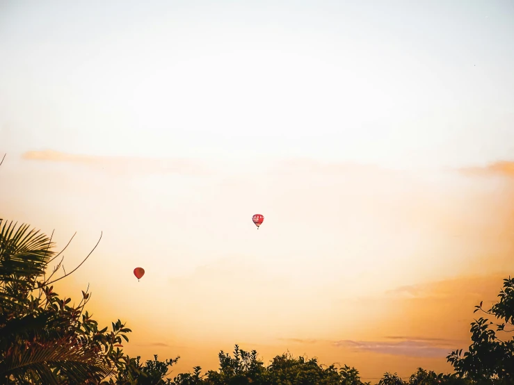 two  air balloons are flying over trees