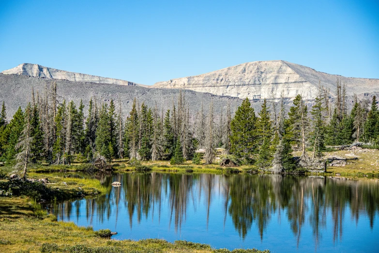 a forest scene with water and mountains