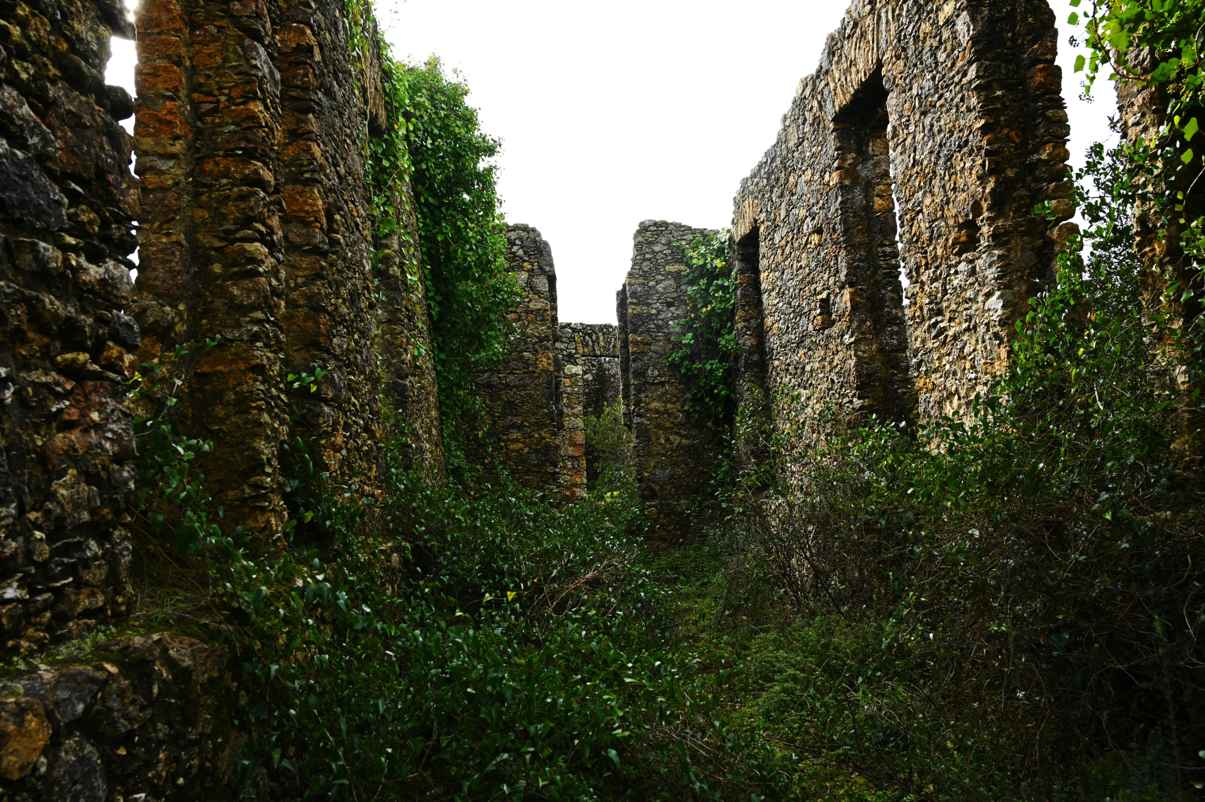 a path running through the middle of an old ruins