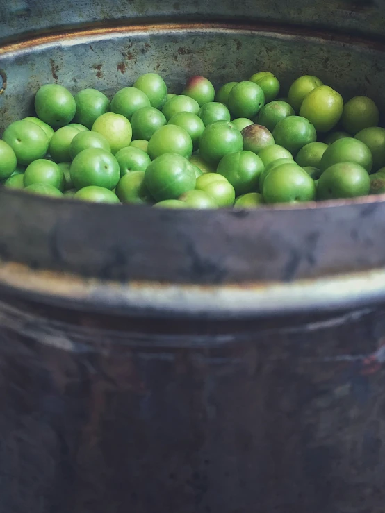 apples are sitting in an old metal bucket
