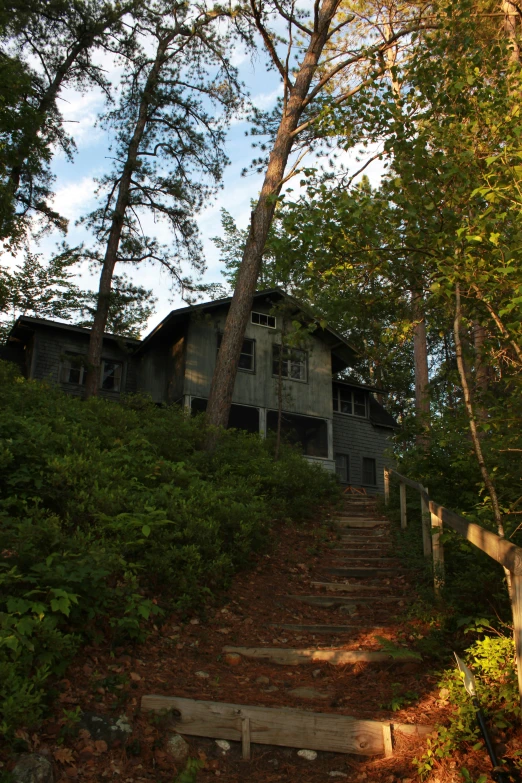 a wooden stairway leading to a tree covered hill