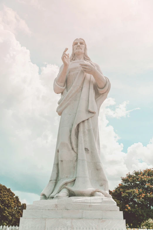 the statue is on display in a field