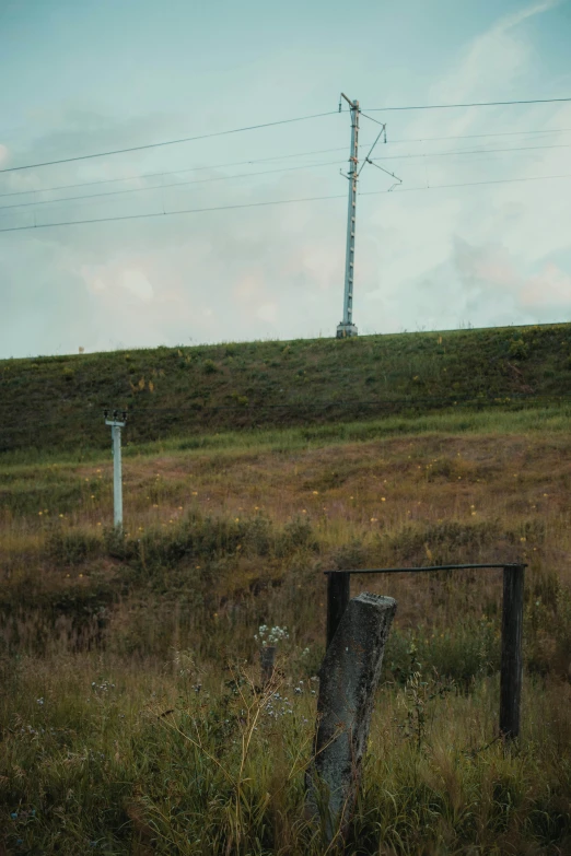 a lone horse standing in an open field