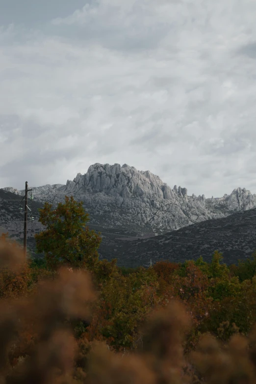 mountains in the background, with trees and bushes around them