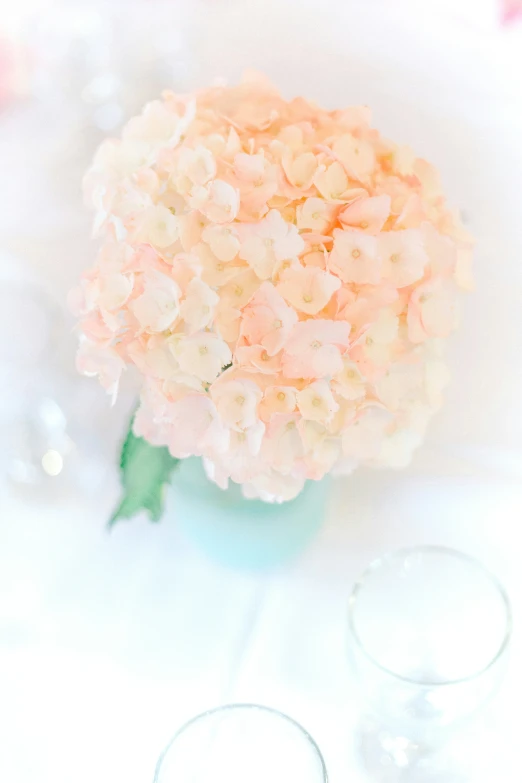 a hydrangea arrangement is surrounded by glasses