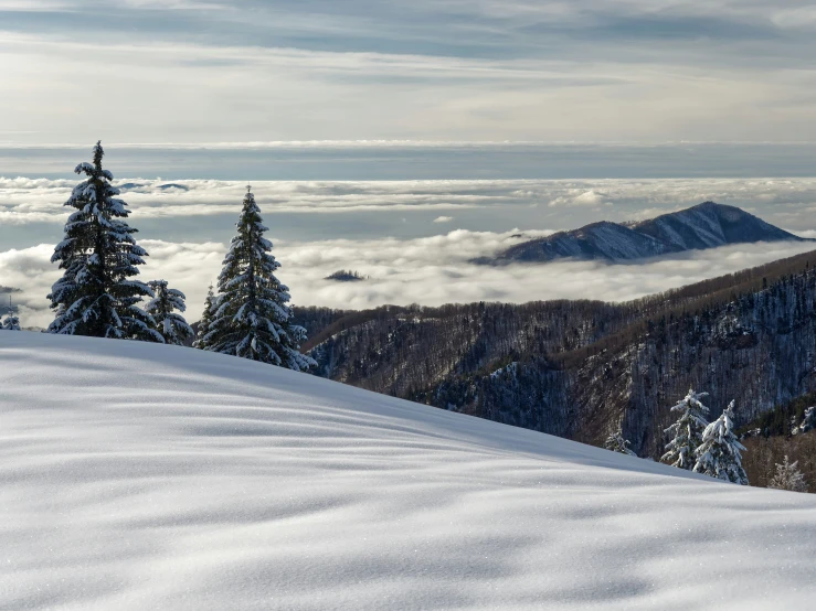 a snow covered hillside with trees surrounded by clouds