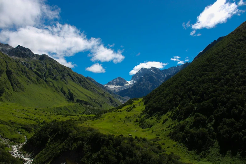 green hills surrounded by a river and trees