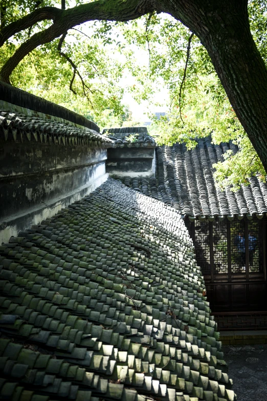 an old house with an intricate tiled roof