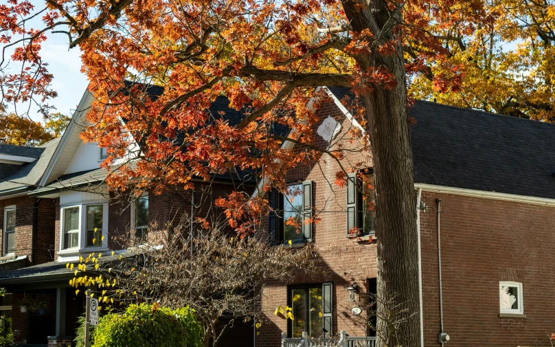 the beautiful red brick house is on autumn's day