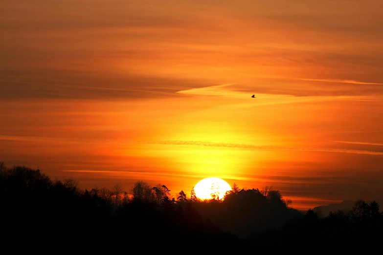 the sun rises above a wooded area on an autumn day