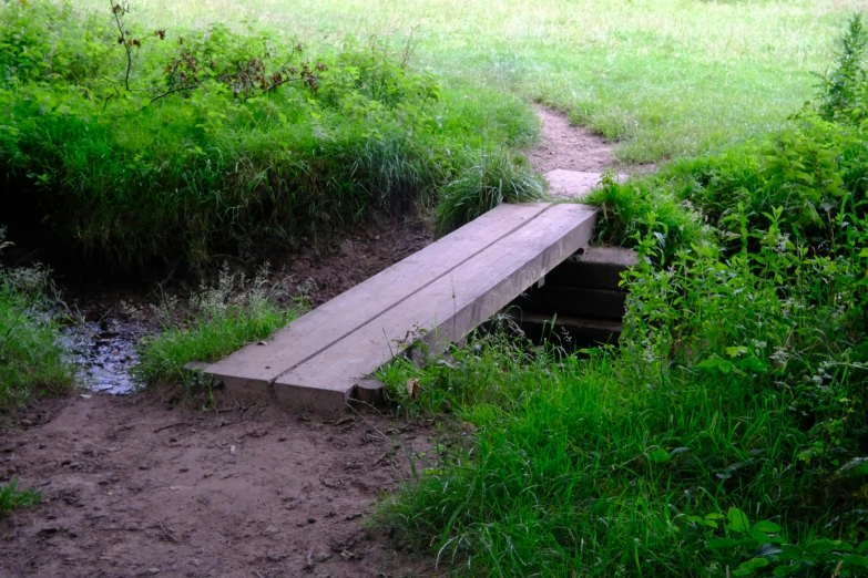 a small wooden bench surrounded by green grass and brush