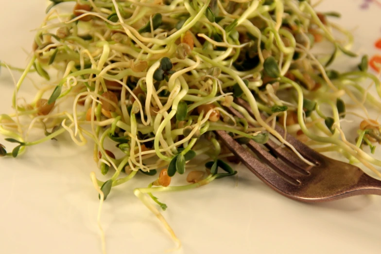 a close up of food on a plate with a fork