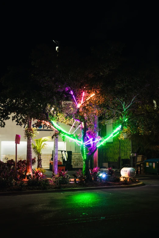 a man and a tree lit up in a yard with various lights