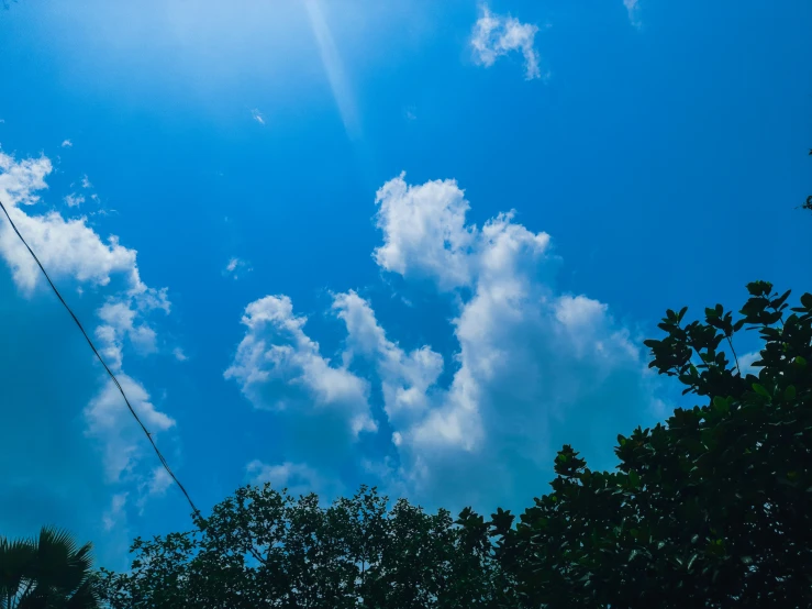 the sky above some trees is clear and blue