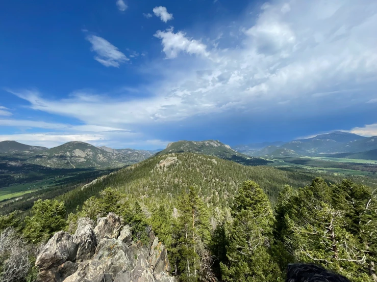 mountains that are covered with trees and some grass