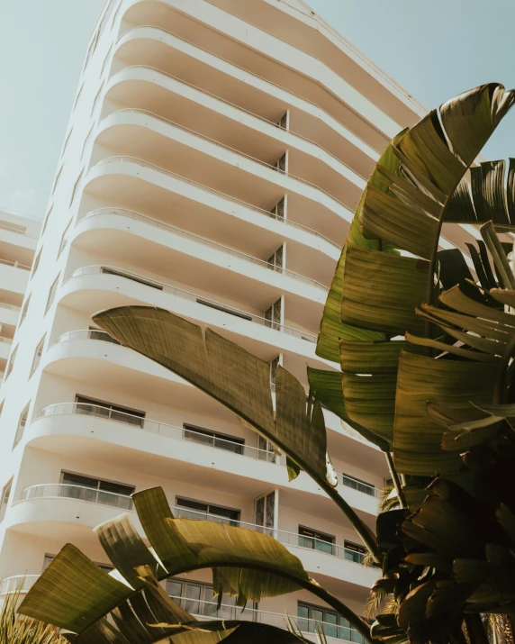 a building behind some plants with a sky background