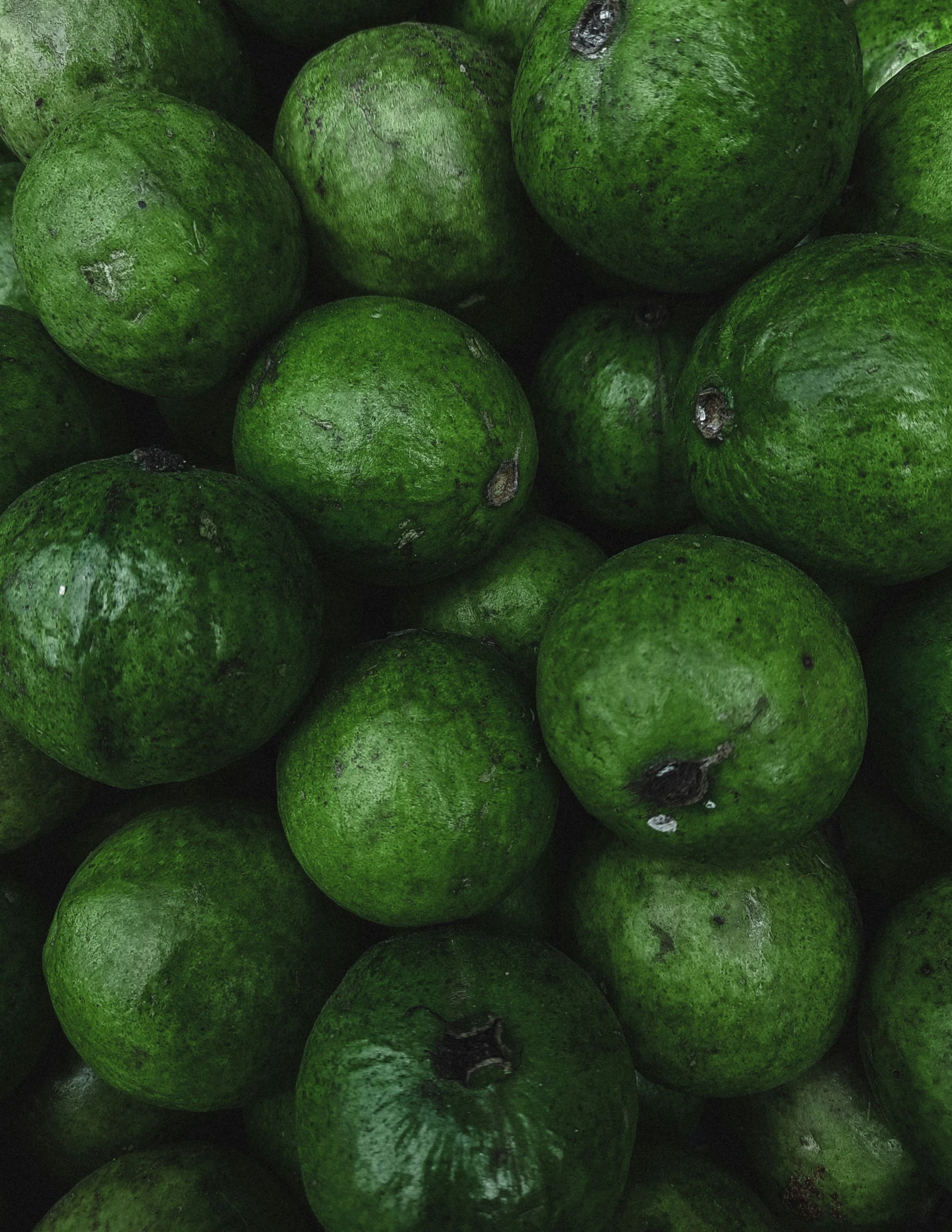 several guacamole type fruits piled together