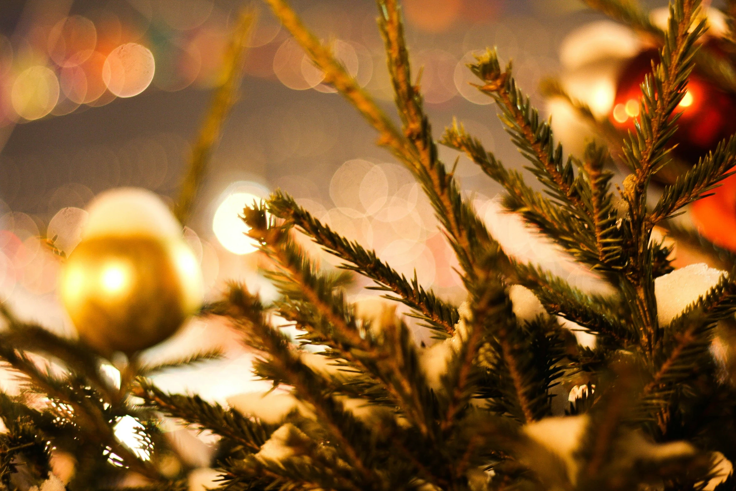 an ornament on a christmas tree with blurry background