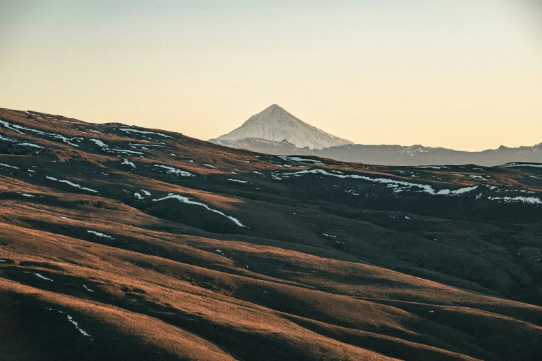 a lone tree in a snowy field by mountains