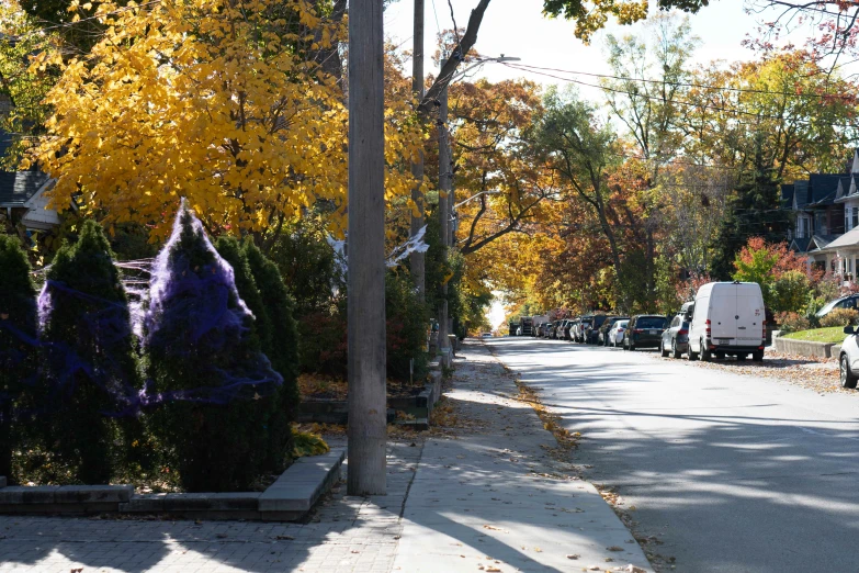 two purple chairs sitting on the street near parked cars