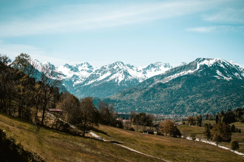 a large snowy mountain range with trees on top