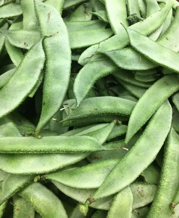 several pods of pea plants are arranged together