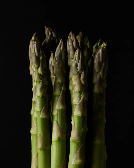 a close up view of some asparagus stems