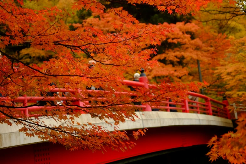 a red bridge over a river with people walking along it