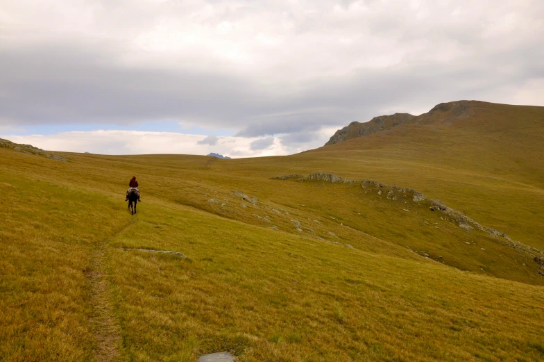 a lone person is walking through the grass