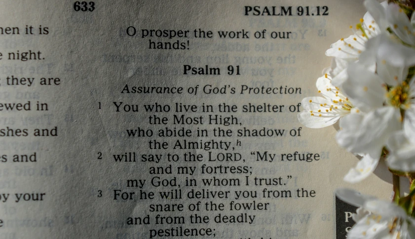 closeup of the word of praise placed in the bible
