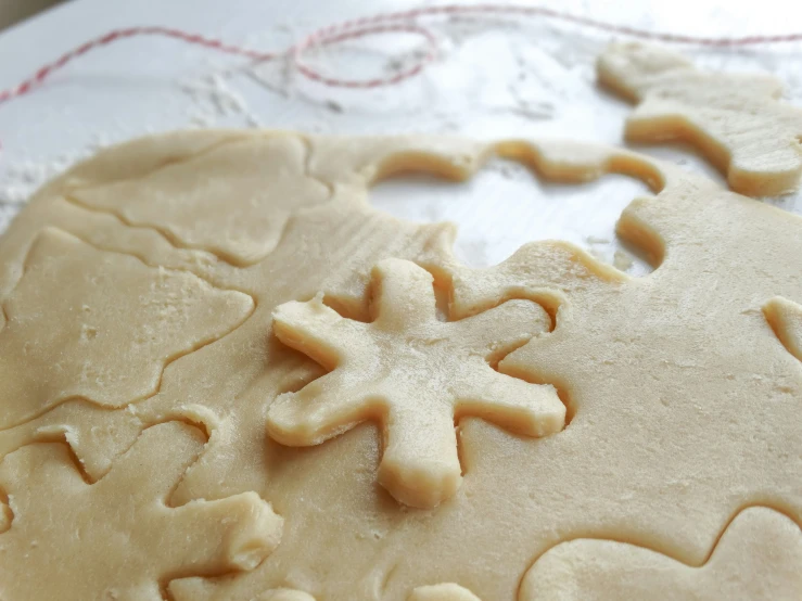 closeup of a cut out cookie on top of a white napkin