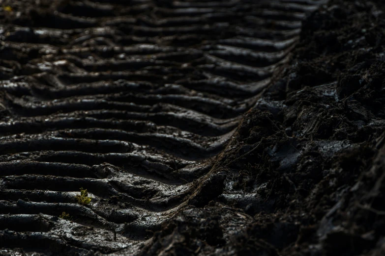 close up view of the dirt like surface from the ground