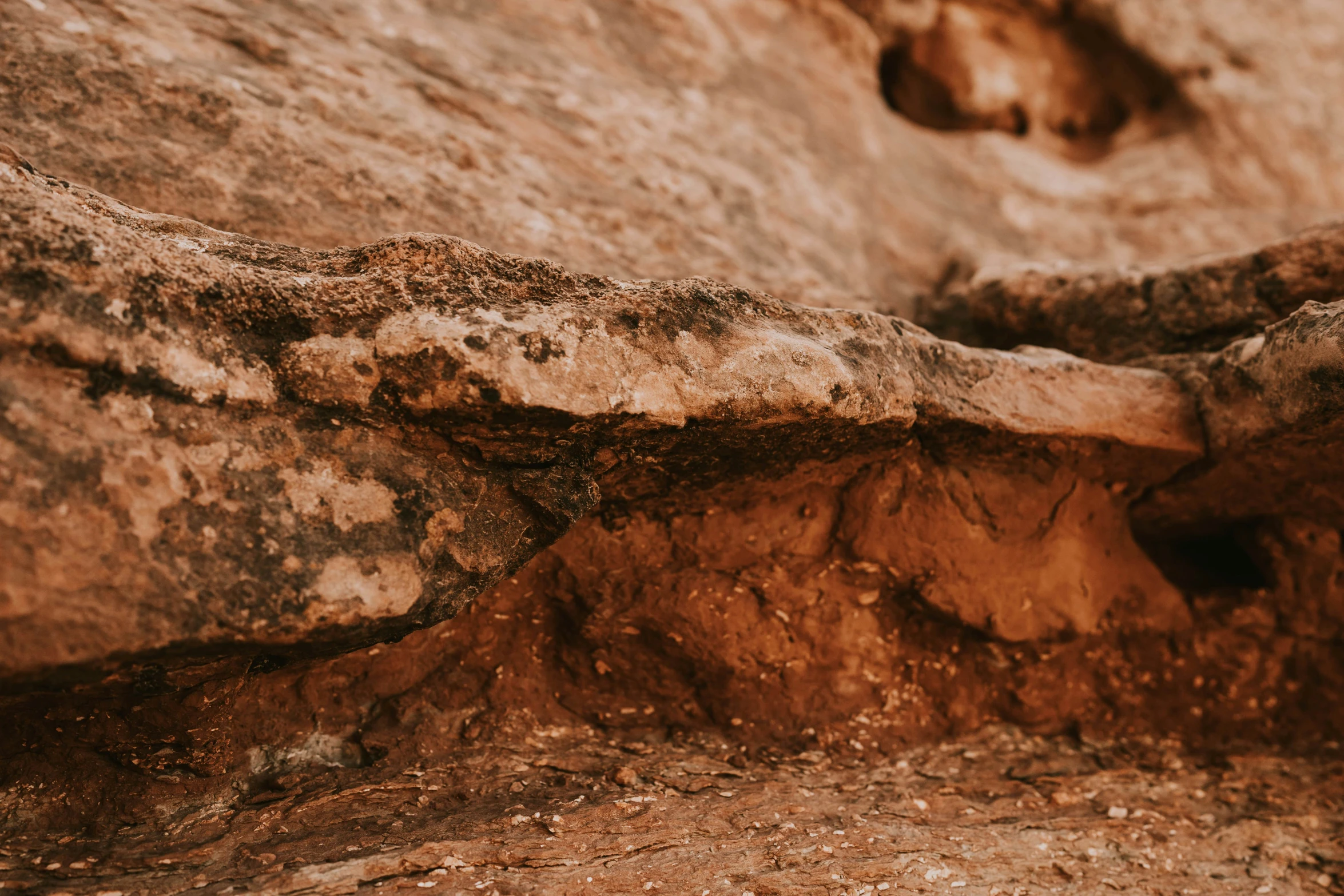 an orange and black bird is perched on rocks