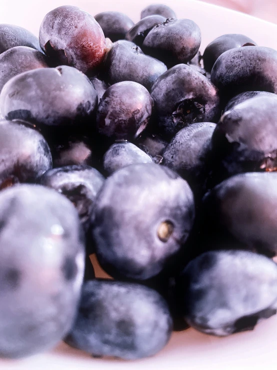 a white plate topped with lots of plums