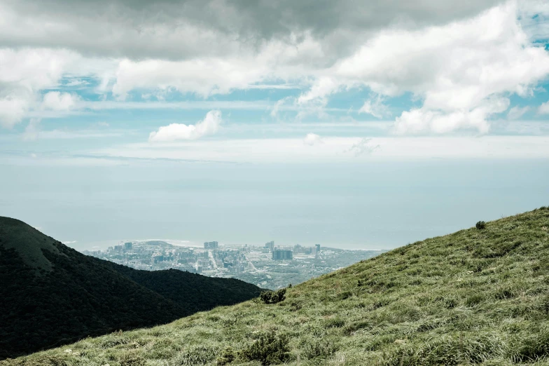 a sheep grazes in the green hills of a city