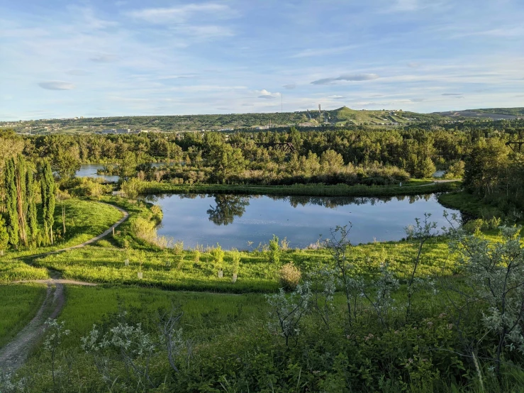 a field with some green trees and a lake in the middle