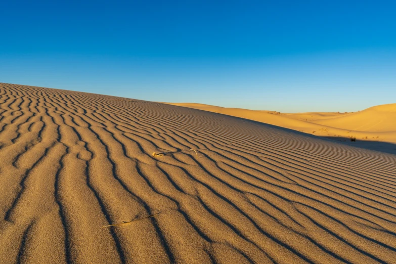 rippled sandy sand on the dunes at sunset